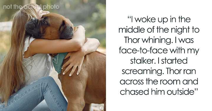 Dog Attacks Stalker Who Broke Into Woman’s Home, Gets Labeled “Too Dangerous” To Be Around Kids