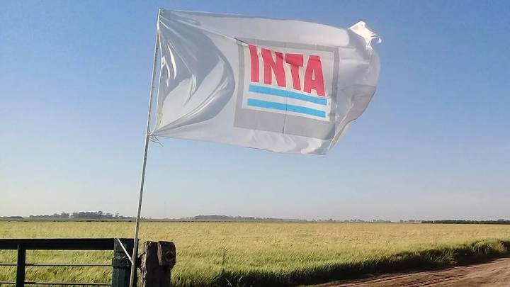 Inta: el gobierno nacional pasó a disponibilidad a 286 trabajadores