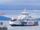 'Terrifying': Passengers in fear as B.C. ferry loses anchor in cloud of smoke