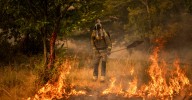 Sigue la ola de incendios en España, con unos 20 fuegos graves activos