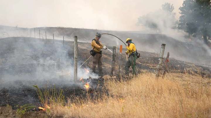 Ranchers Rush Hay To Wyoming Cattle Left Without Critical Grazing By Wildfires
