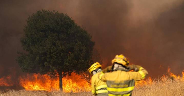 España en llamas: Baleares, uno de los pocos refugios sin incendios este verano