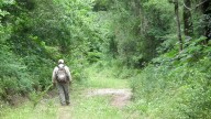 Oficializaron la actualización del Ordenamiento Territorial de Bosques Nativos de Salta