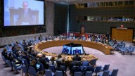 Reafirman en Consejo de Seguridad respaldo a unidad de Siria