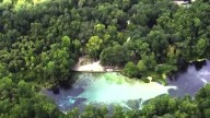 Rep. Fine proposes new national park at Ocala National Forest, springs