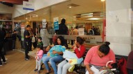¿Por qué ha caído la tasa de natalidad en BC y qué consecuencias tendrá?