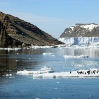 Antarctic climate shifts threaten 'catastrophic' impacts globally