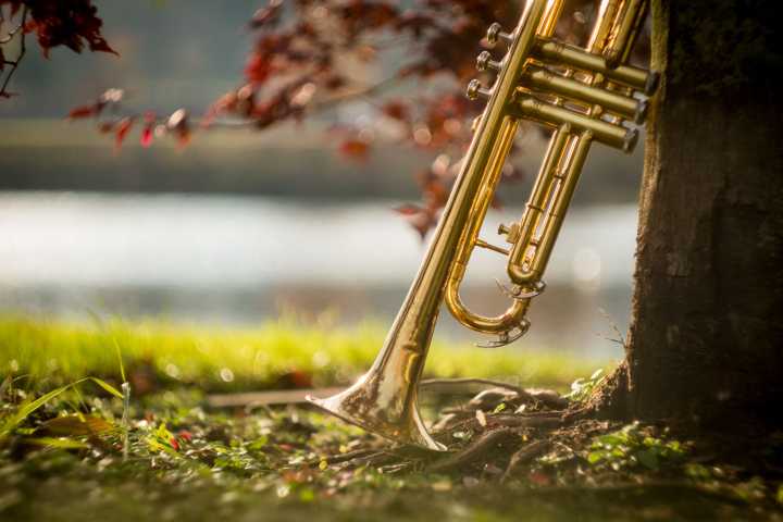 It’s not too late to catch DC’s Jazz in the Park concert series
