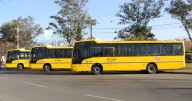 Nuevas unidades 0Km para el transporte público de pasajeros
