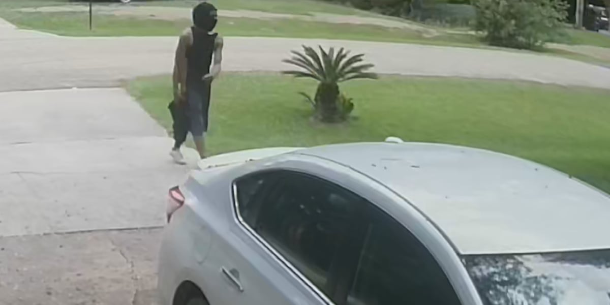 Masked individual steals car in broad daylight, police say
