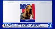 UPDATE: Dade Co. Sheriff enacts new K-9 policy after hot patrol car death of K