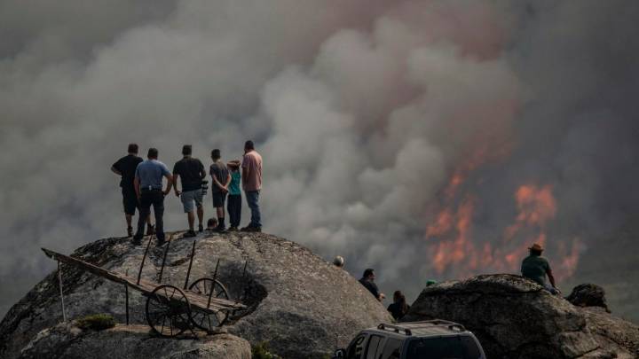 El 70% del terreno que ardió en Ourense sufrió un daño irreversible