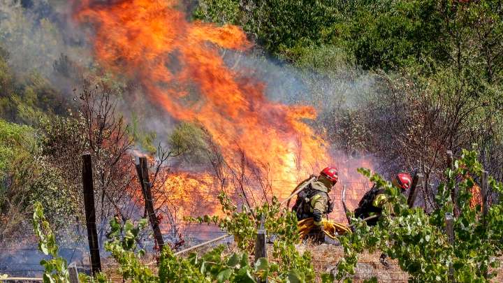 Los incendios quemaron más de la mitad de la superficie de diez municipios gallegos
