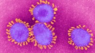 Dormant cancers can be reawakened by flu, COVID: Study