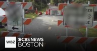 Police investigate swastikas spraypainted on signs in Natick