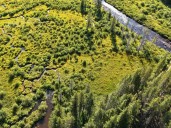Camping restrictions planned near Homestake Valley wetlands