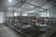 Families, advocates allege inhumane conditions at 'Alligator Alcatraz'