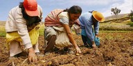 Minería y agro: la oportunidad estratégica para las regiones