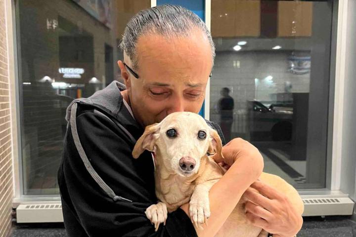 Legally Blind Man Reunited with His Elderly Service Dog Months After It Was Stolen