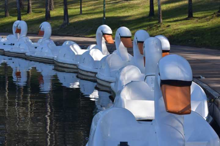 11 events to attend in the Houston ...