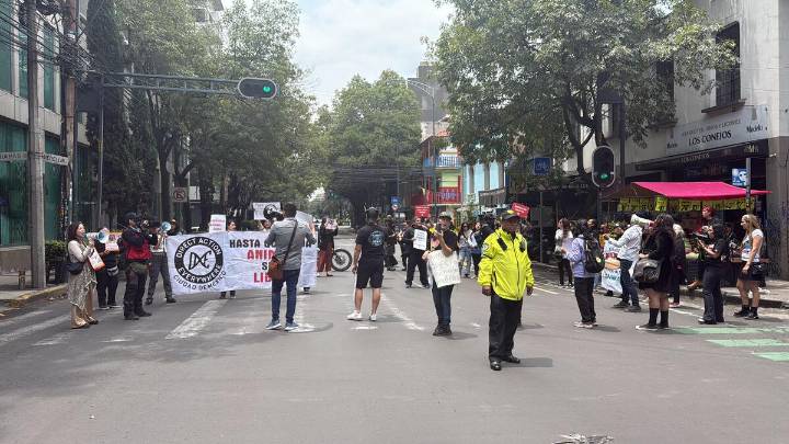 Colectivos animalistas bloquean vialidades frente a PAOT para exigir mejoras a políticas de pr...