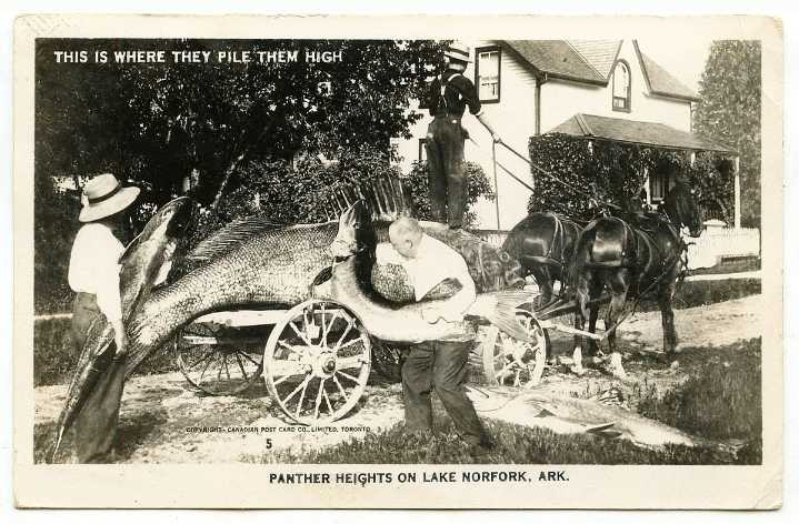 Arkansas Postcard Past: Lake Norfork, circa 1952