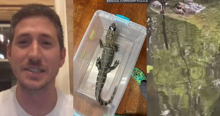 Florida alligator sanctuary owner catches loose gator in Magnolia Lake while visiting family in Pennsylvania
