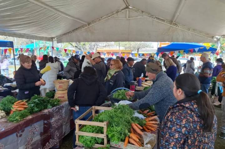 Exitosa edición de la Feria Itinerante en el parque Pulgarcito