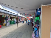 Convocatoria para participar en Feria de Regreso a Clases fue abierta: CANACO Servytur Irapuato