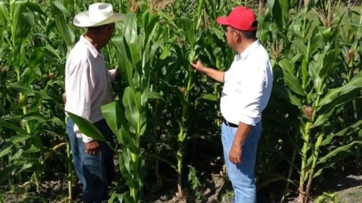 Sader entrega apoyos en Veracruz