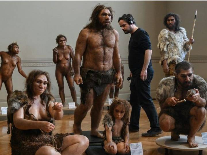 Human ancestor Lucy gets first European showing in Prague