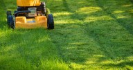 Exact time you should cut your grass this weekend