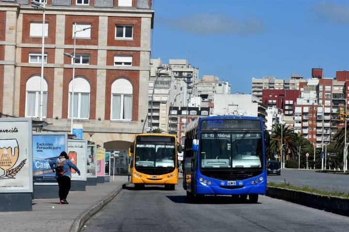 Disponen transporte público gratuito para las elecciones provinciales y nacionales