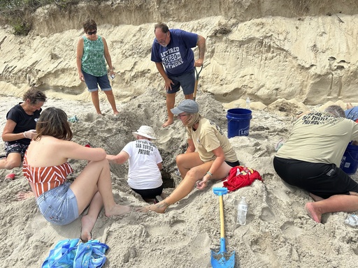 Hurricane Erin never hit land or caused major damage, but threatened turtle nests weren't so lucky