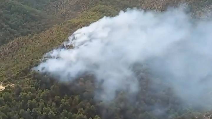 Los bomberos trabajan en un incendio de vegetación entre Almatret y Riba