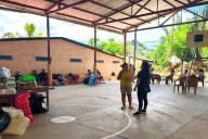 Huyen 60 a Guatemala; niega Chiapas desplazamiento