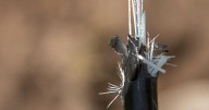 BEAVER ISLAND $87M middle-mile broadband infrastructure project underway