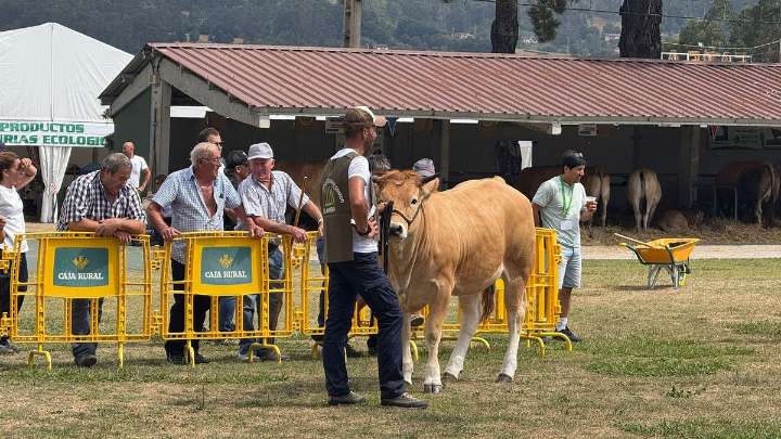 Cita histórica del Concurso de Ganado de Llanera, que celebra 50 años: "Que este sea el fin de semana más feliz del año para los que estáis aquí”