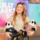 The Kelly Clarkson Show Isn't Going Anywhere; TV Return Revealed