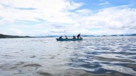 Conoce la vida del agua de Michoacán: estos son los lagos que puedes visitar desde Morelia