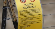Human plague reported in NM for first time this year