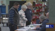 Potential voting and legislature ballot questions explained