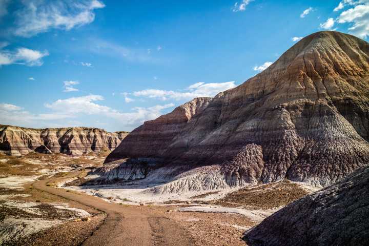 Tiny Spiked Reptile Fossil Shocks Scientists: What Did It Reveal About Ancient Arizona?