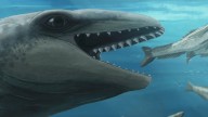 'Deceptively cute' tiny prehistoric whale species discovered in Australia