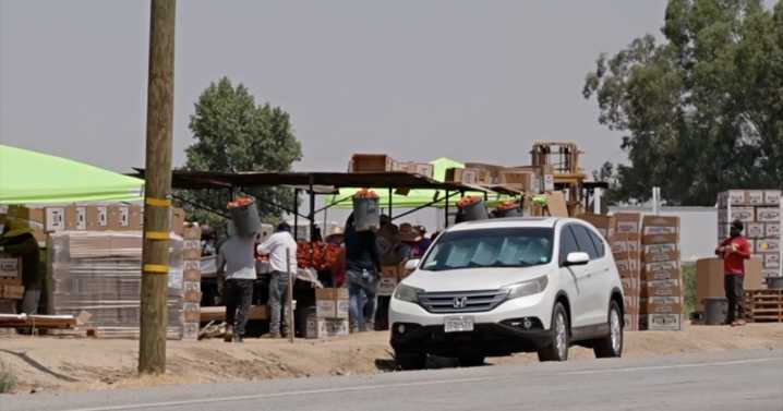 Kern County Feels Impact of National Immigration Decline