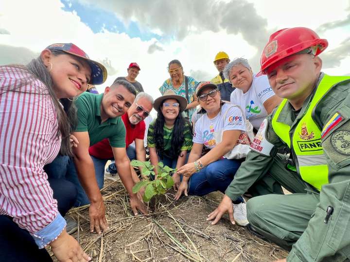Siembran 50 mil plantas autóctonas en cuencas de Barinas