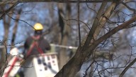 A look inside the tedious but essential job of a lineworker