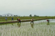 Ministerio de Desarrollo Agrario autoriza transferencia para Sistema de Riego Magdalena