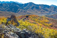 Summit County to close on 910 Cattle Ranch by end of September
