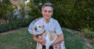 When a convalescing dog needed help to pee, his human got the neighborhood involved